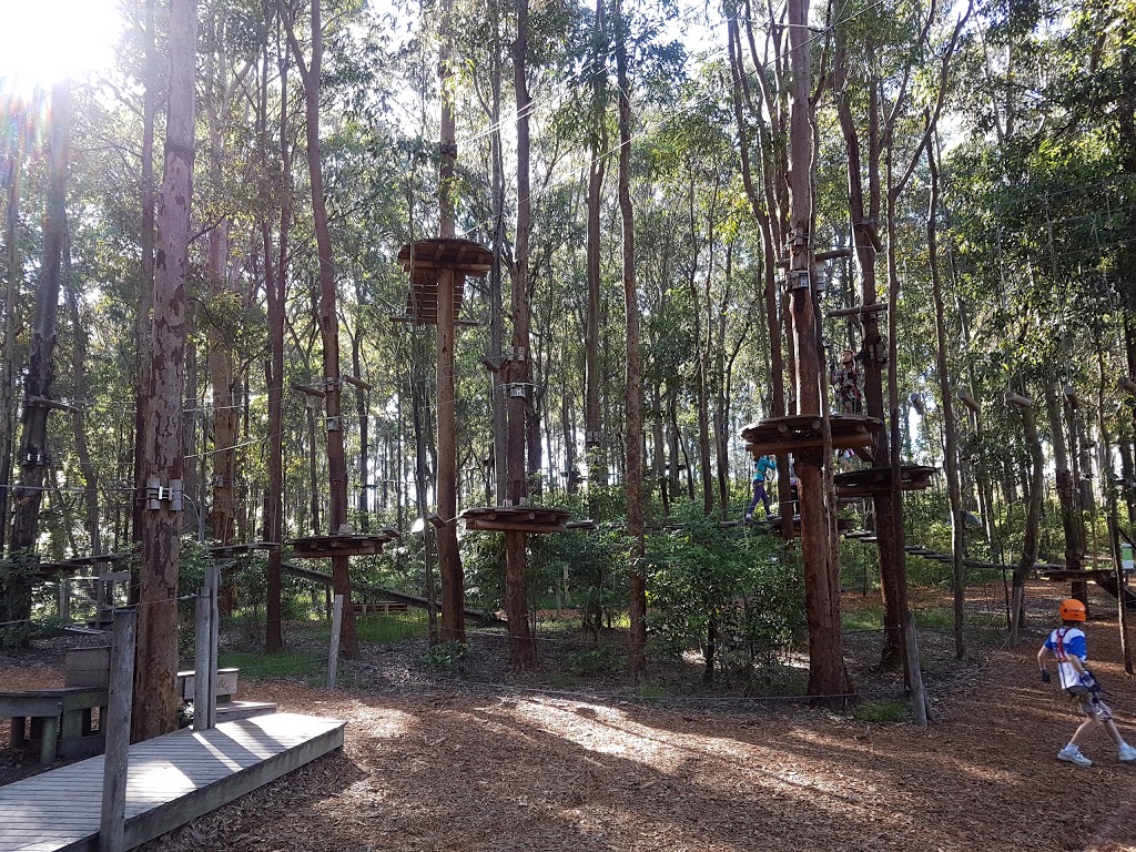 TreeTops Newcastle | Blue Gum Hills Regional Park, Minmi Road, Minmi NSW 2287, Australia | Phone: 0455 338 735