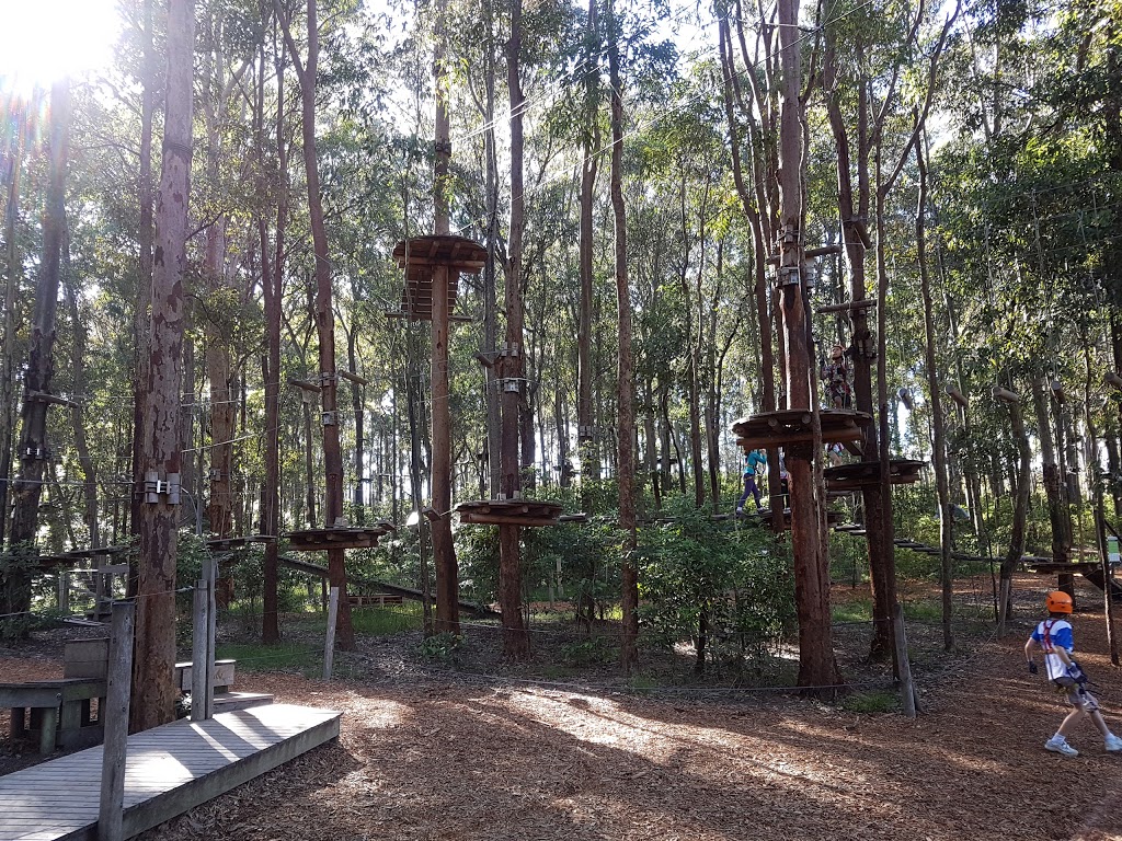 TreeTops Newcastle | park | Blue Gum Hills Regional Park, Minmi Road, Minmi NSW 2287, Australia | 0455338735 OR +61 455 338 735