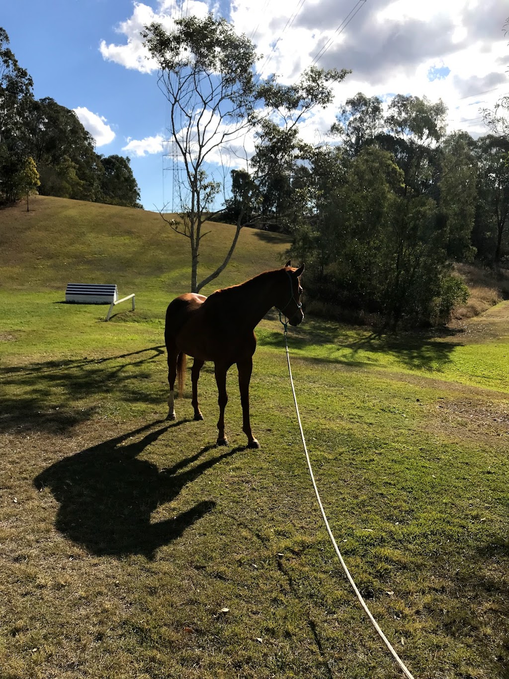 Karana Down Pony Club |  | Powells Rd, Karana Downs QLD 4306, Australia | 0416241974 OR +61 416 241 974