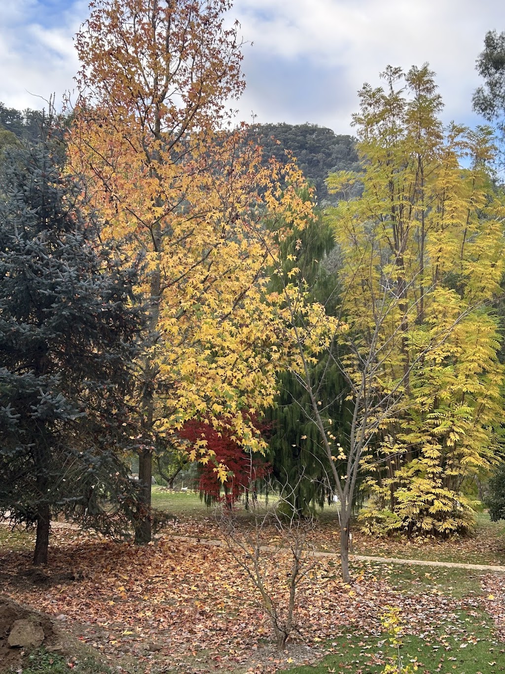 THE MINERS COTTAGES | 11 Miners Way, Swifts Creek VIC 3896, Australia | Phone: 0412 356 241