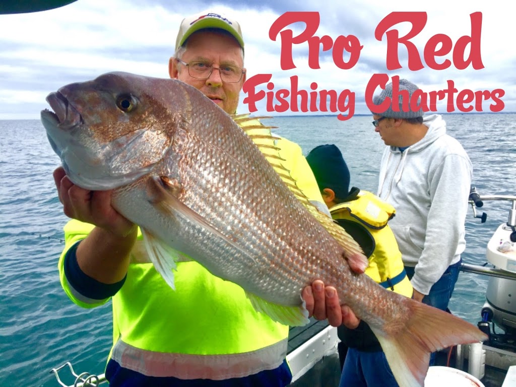 Pro Red Fishing Charters Warneet | Rutherford Parade, Warneet VIC 3980, Australia | Phone: 0421 442 775