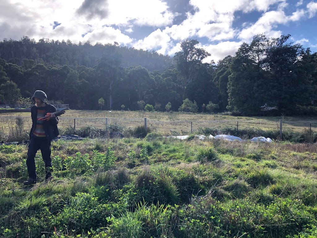 Badgers Flats | 398 Denison Rd, Lonnavale TAS 7109, Australia | Phone: 0449 907 029