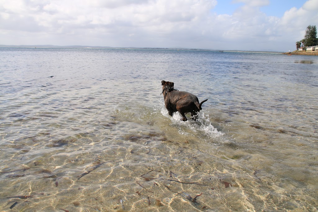 Shoal Bay Beach Off-Lead Dog Exercise Area | park | 1A Shoal Bay Rd, Shoal Bay NSW 2315, Australia