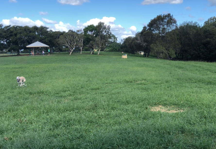 Elanora Park Off-Leash Area | 74a Wynnum North Esplanade, Wynnum QLD 4178, Australia