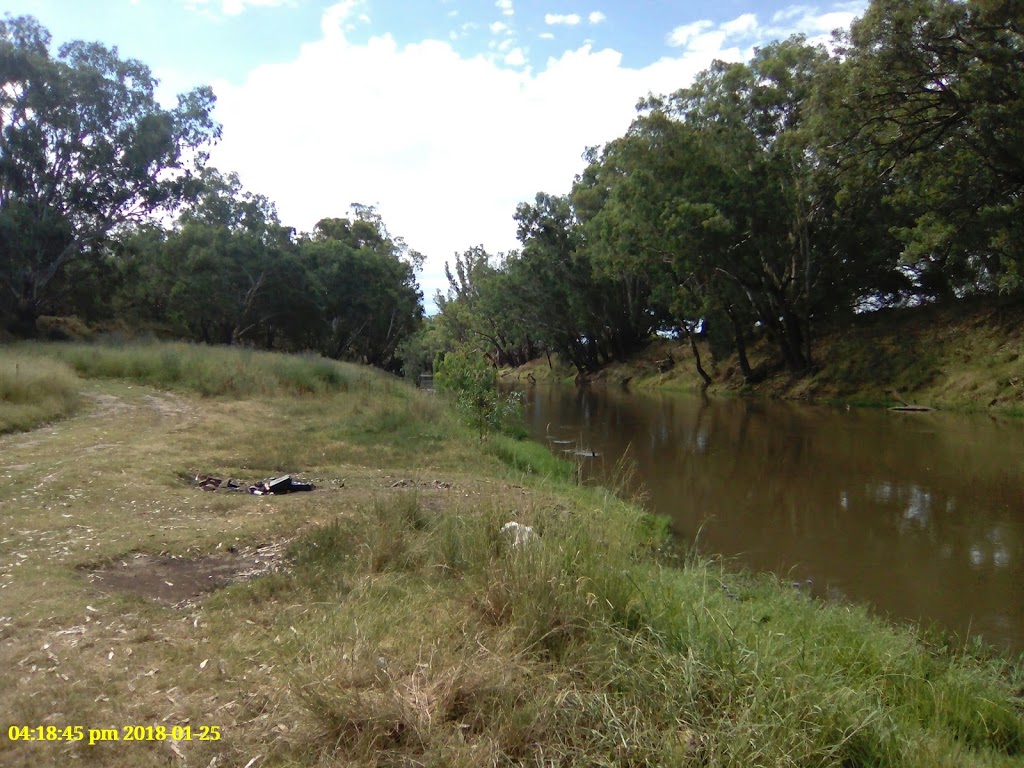 Pilgrim hill TSR reserve | park | 6770 Lachlan Valley Way, Forbes NSW 2871, Australia