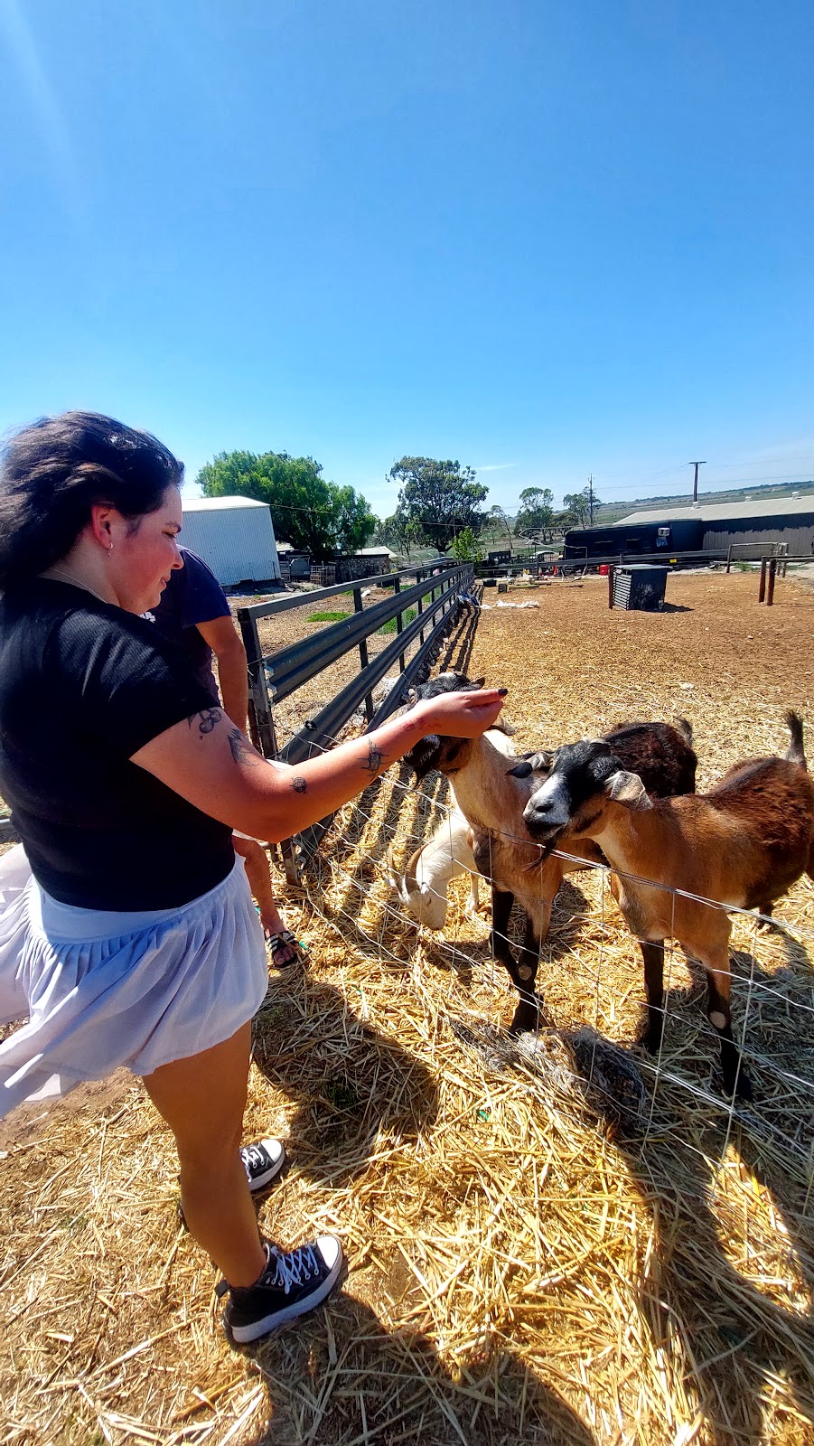 The Kiosk - Ego Farm | 2776 Jervois Rd, Jervois SA 5259, Australia | Phone: 0416 032 812