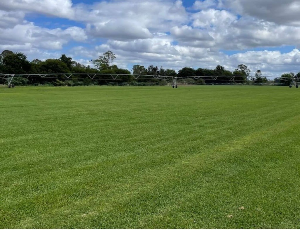 The Turf Shed | 742 Mundoolun Connection Rd, Boyland QLD 4275, Australia | Phone: 0417 852 444