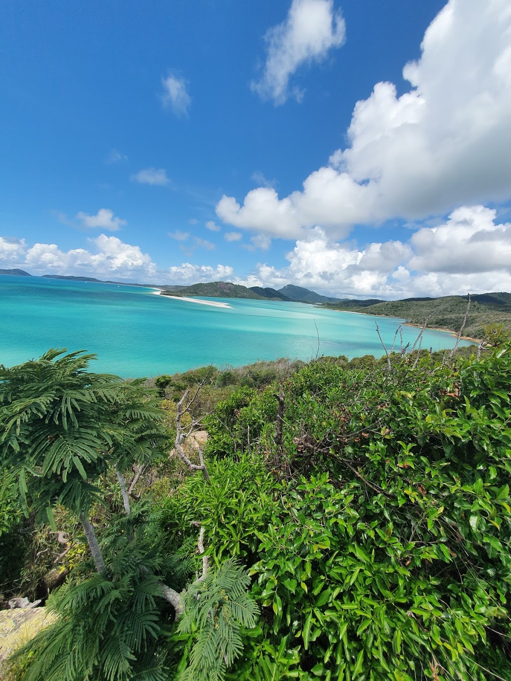 Whitsunday Coast Barramundi | 215 Dunrock Rd, Chelona QLD 4740, Australia | Phone: (07) 4959 5122
