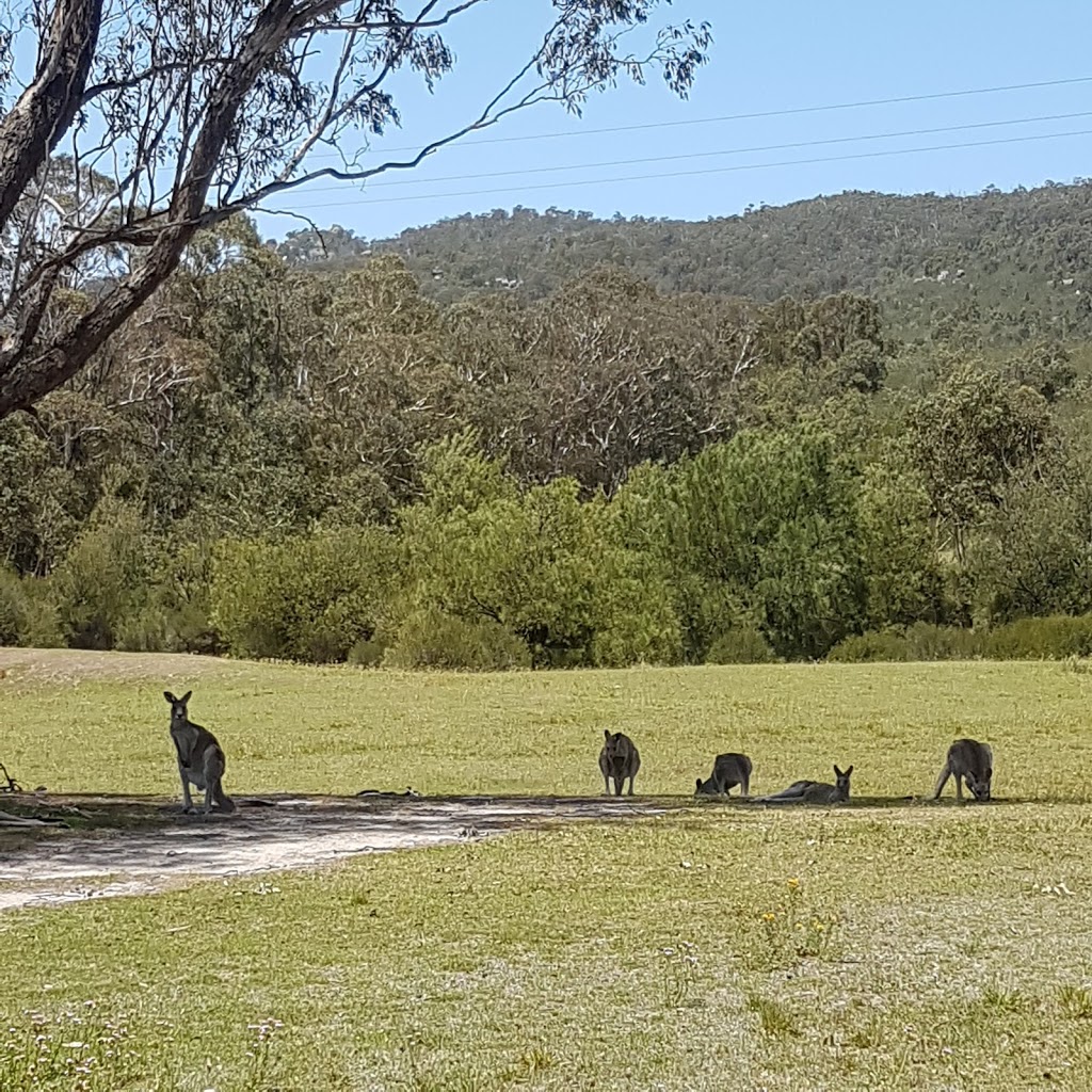 Tidbinbilla Koala Path | Tidbinbilla Reserve Rd, Paddys River ACT 2620, Australia