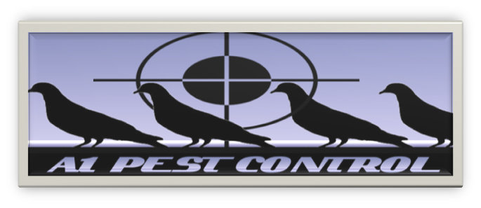 Pigeon Pest Control - Newcastle | 16 Emerald Cl, Caves Beach NSW 2281, Australia | Phone: 0411 156 806