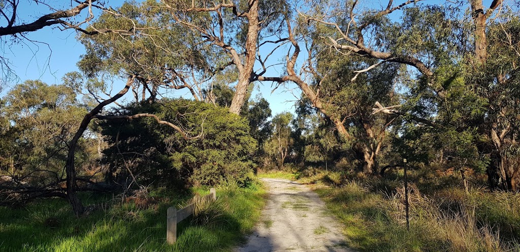 Rowan Woodland Reserve | park | 13A Teralba Cl, Dingley Village VIC 3172, Australia