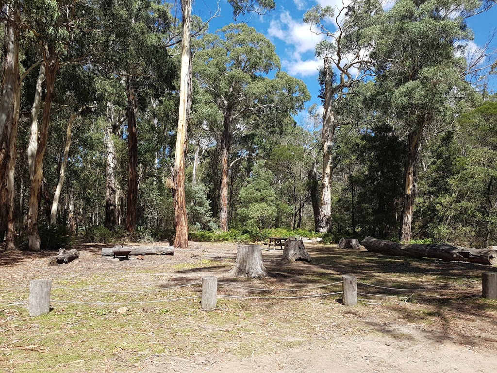 Mulloon Creek campground | campground | Mulloon Firetrail, Palerang NSW 2622, Australia | 0244760800 OR +61 2 4476 0800
