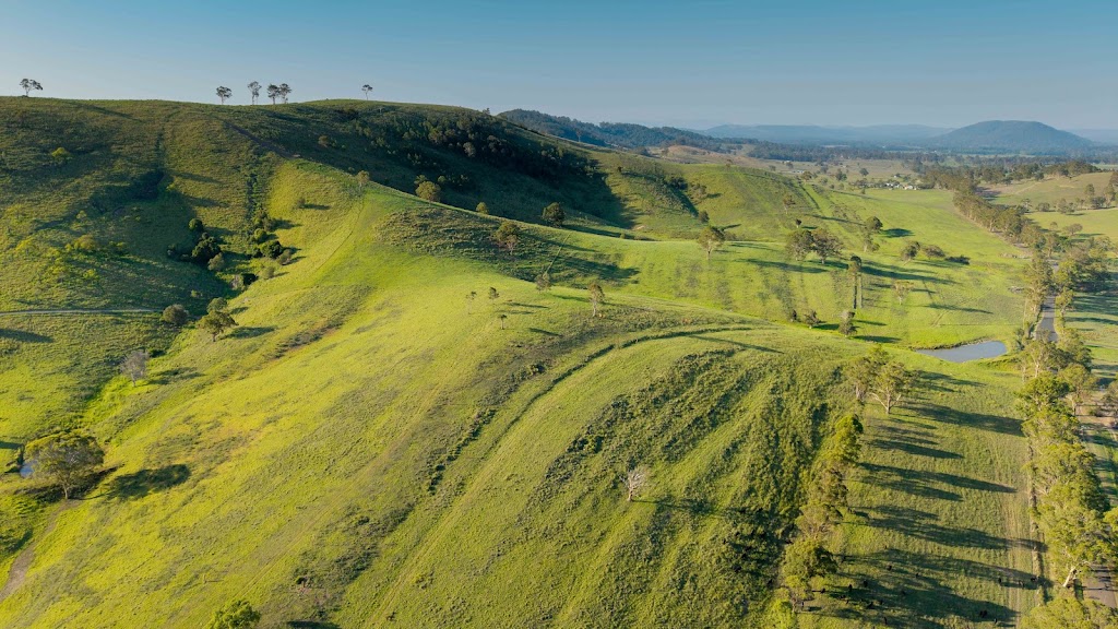 Mill Rise Estate | 231 Glen William Rd, Clarence Town NSW 2321, Australia | Phone: 0428 950 838