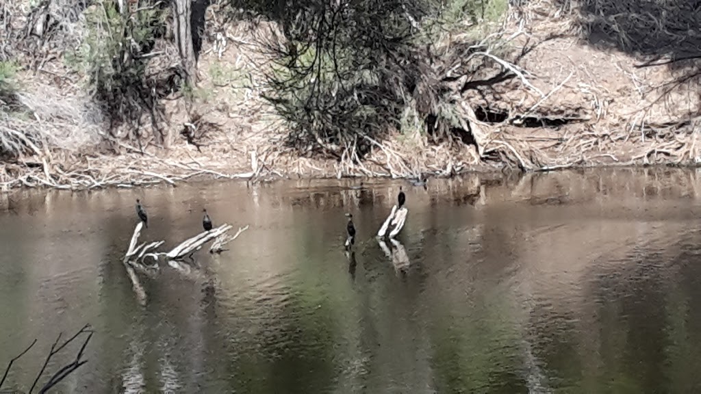 Walyunga National Park | park | Walyunga Rd, Bullsbrook WA 6084, Australia | 0892906100 OR +61 8 9290 6100