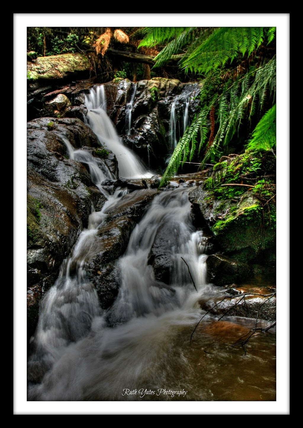 Olinda Falls | park | Doughtys Rd, Olinda VIC 3788, Australia | 131963 OR +61 131963
