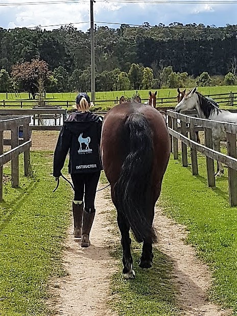 Valley Park Riding School | 86 Obriens Ln, Templestowe VIC 3106, Australia | Phone: 0475 000 088