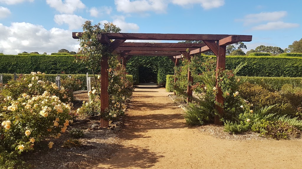 Giant Hedge Maze | amusement park | 9978 Bussell Hwy, Margaret River WA 6285, Australia | 0897587439 OR +61 8 9758 7439