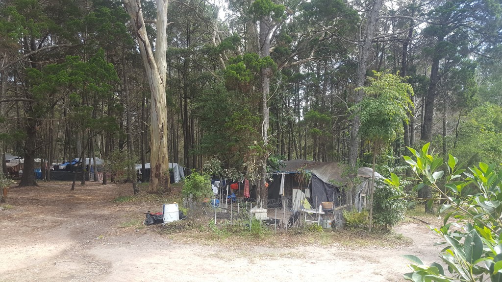 Johns Landing Camping Ground | campground | 118 Johns Rd, Cooroibah QLD 4565, Australia