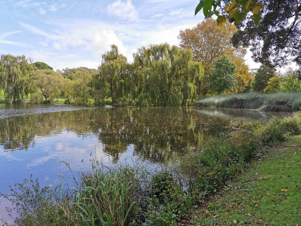 Musgrave Pond | 101 York Rd, Queens Park NSW 2022, Australia | Phone: (02) 9339 6699