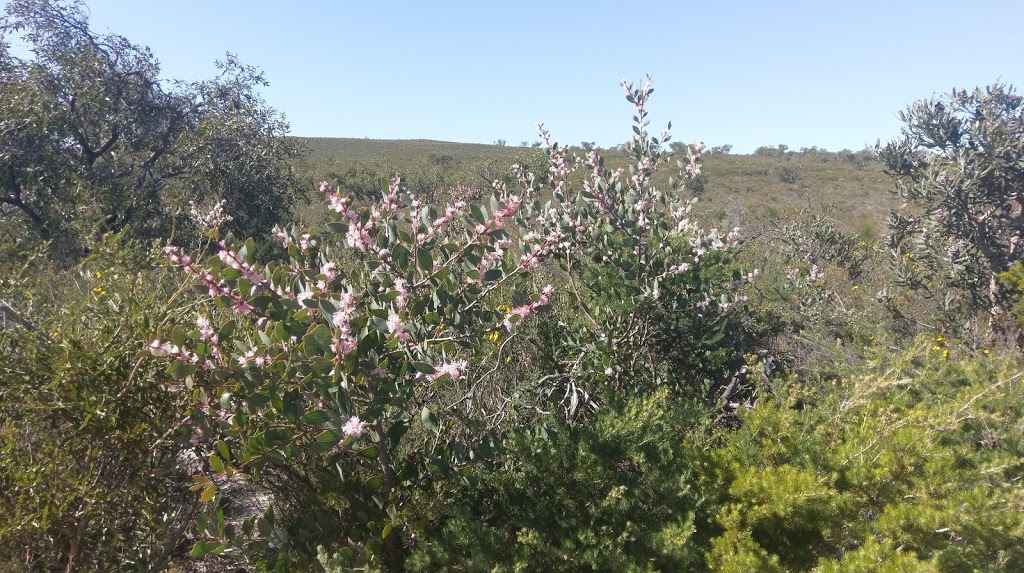 Lesueur National Park | Jurien Bay WA 6516, Australia