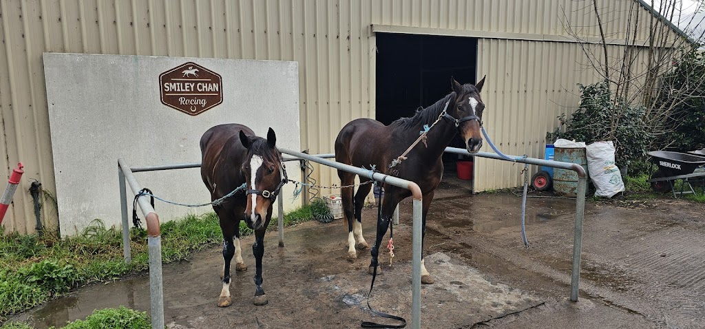 Smiley Chan Racing | 11 Knights Ct, Tynong VIC 3813, Australia | Phone: 0434 067 395