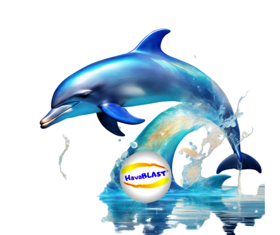 HavaBLAST | 43 Carrabeen St, Evans Head NSW 2473, Australia | Phone: 0403 727 725