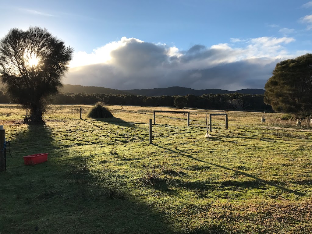 Sawyers Bay Shacks, Flinders Island | 1321 Palana Rd, Blue Rocks TAS 7255, Australia | Phone: 0411 255 179