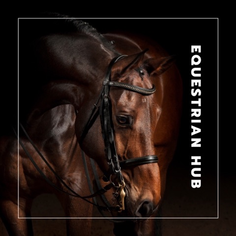 Equestrian Hub | store | Fernleigh Rd, Fernleigh NSW 2479, Australia | 0414760067 OR +61 414 760 067
