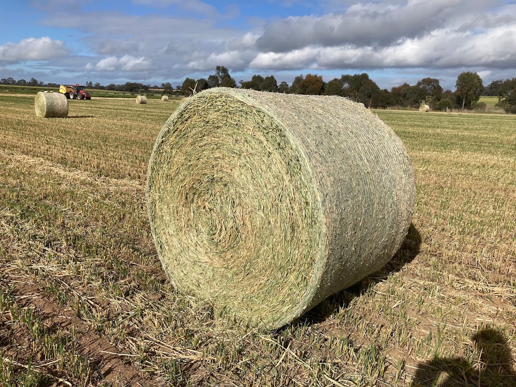 Carram Dale Farm Hay & Grain Sales Doug Jennings | Jennings Rd, Baringhup VIC 3463, Australia | Phone: 0419 282 811