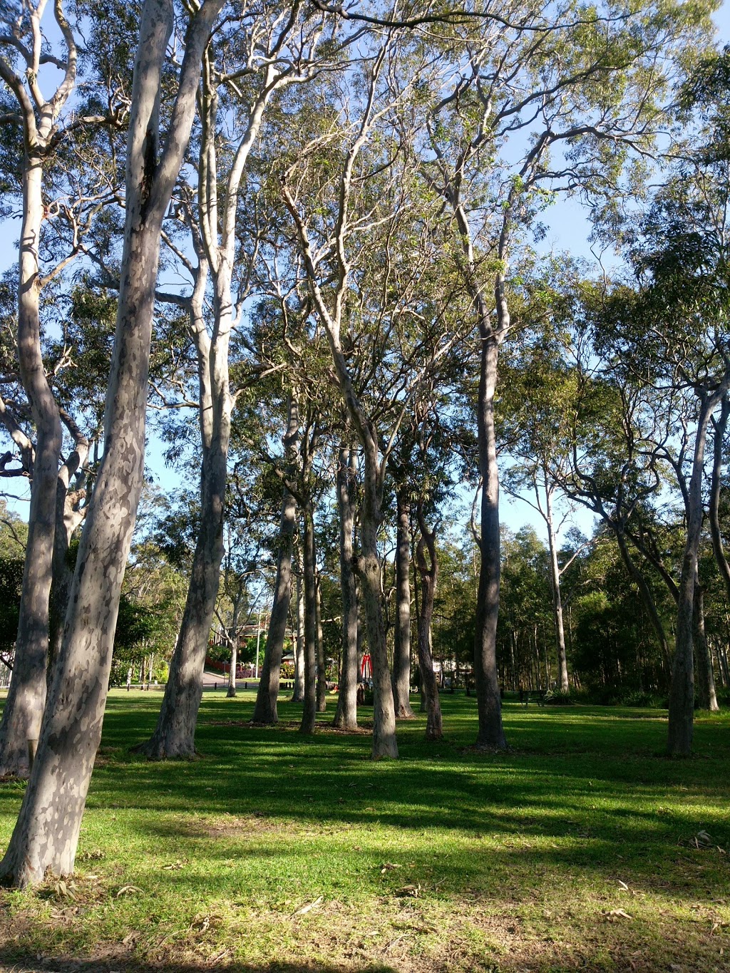 Craigie Park | 2W Tuggerawong Rd, Wyongah NSW 2259, Australia