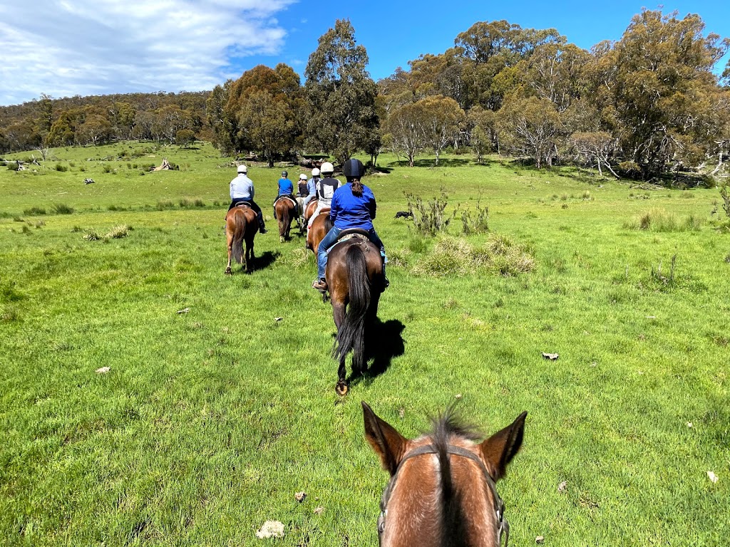 Thredbo Valley Horse Riding | 2627/1056 Alpine Way, Crackenback NSW 2627, Australia | Phone: (02) 6456 2142