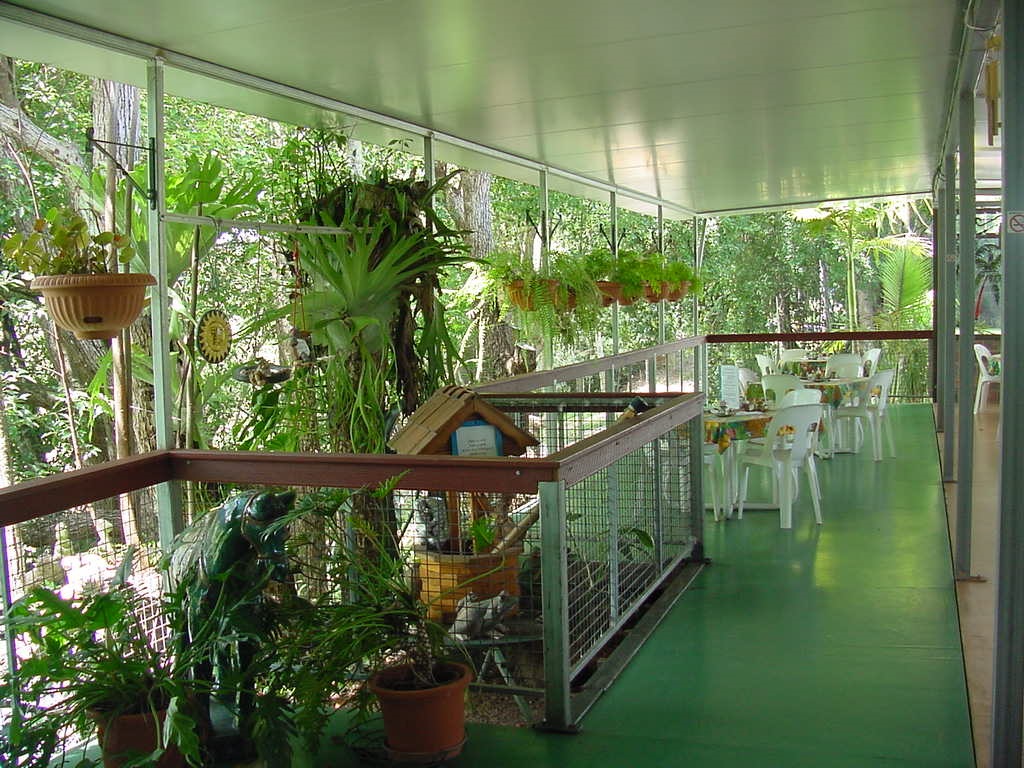 Crystal Creek Nursery | 1002 Numinbah Rd, Crystal Creek NSW 2484, Australia | Phone: (02) 6679 1532