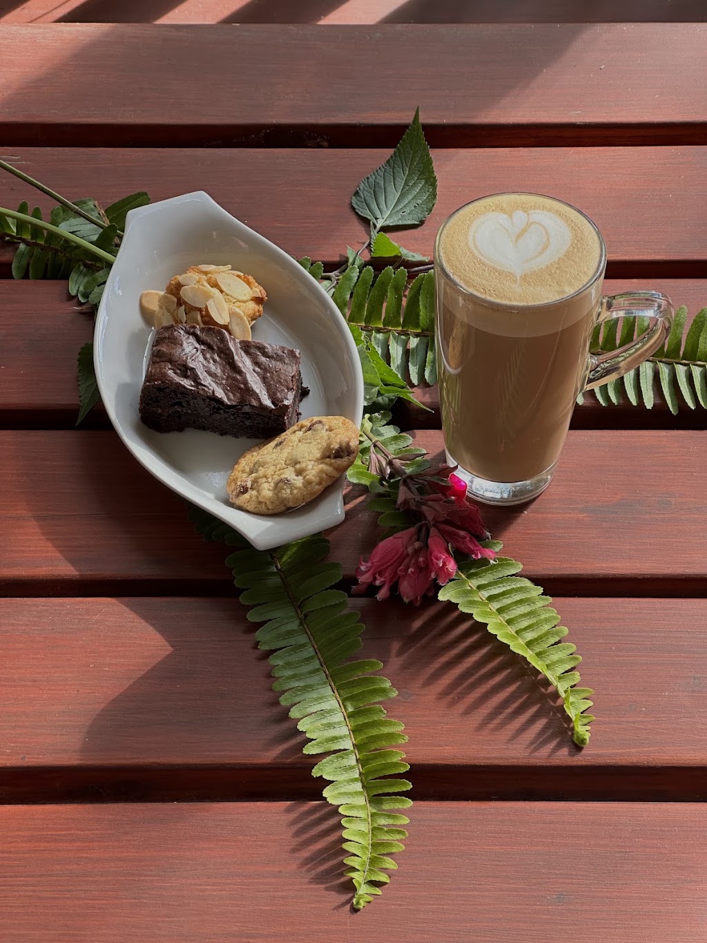 Firefly Lodge | 3175 Nerang Murwillumbah Rd, Natural Bridge QLD 4211, Australia | Phone: 0467 628 718