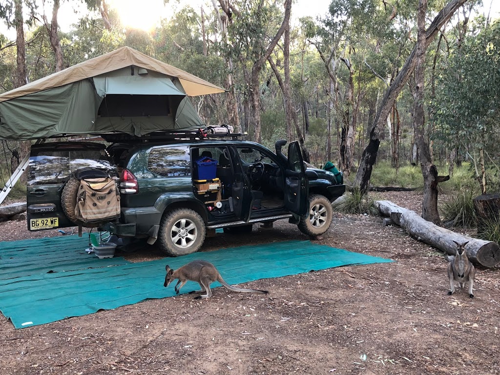 Greenbah campground | campground | Sawpit Gully Trail, Baldry NSW 2867, Australia | 0263327640 OR +61 2 6332 7640