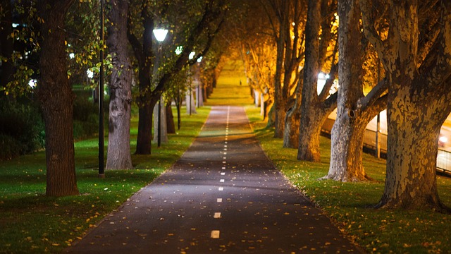 Bright Vista Counselling Service | 15 Knollbrook Cl, Highton VIC 3216, Australia | Phone: 0431 212 099