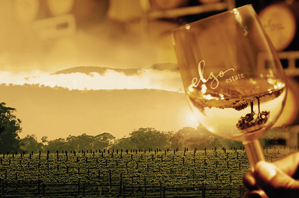 Elgo Estate Wines | tourist attraction | 2020 Upton Rd, Upton Hill VIC 3664, Australia | 0357985563 OR +61 3 5798 5563