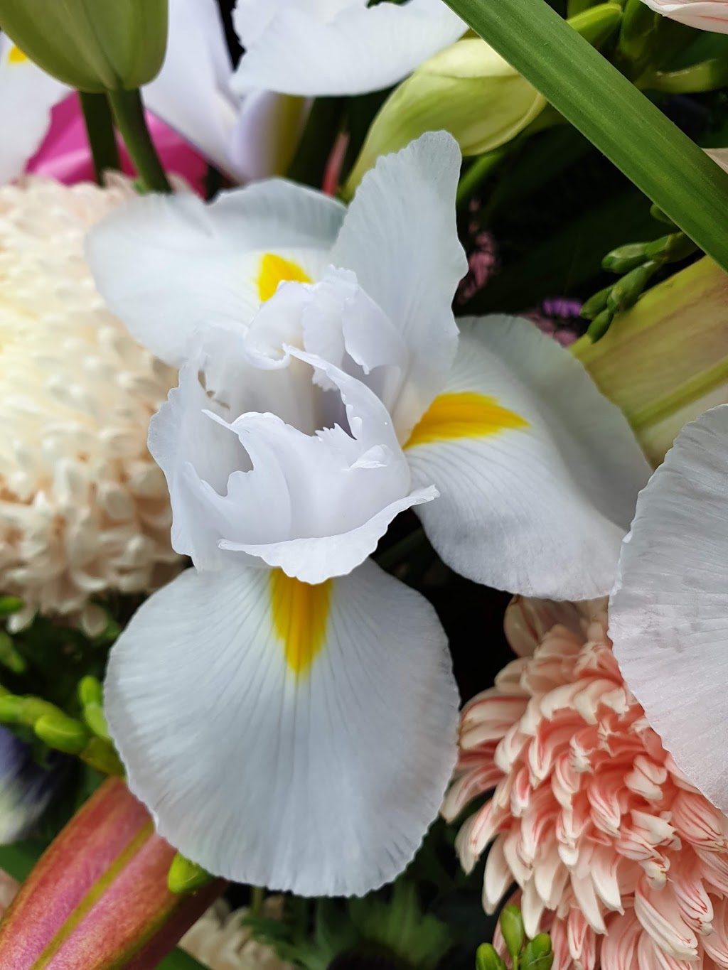 Colours of Love Florist | 549 Princes Hwy, Noble Park VIC 3174, Australia | Phone: 0438 126 194