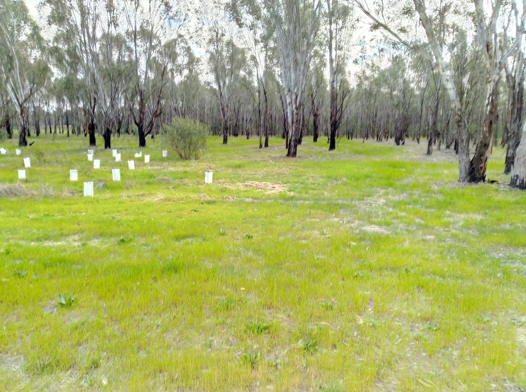 Kinnairds Wetland | park | Numurkah VIC 3636, Australia