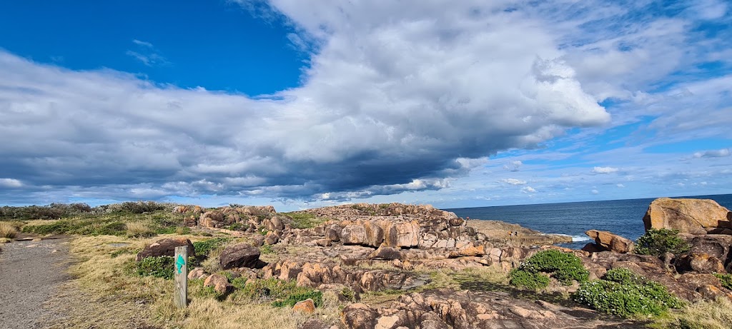 Rock Pool - swimming and observing sea flora and fish | 3 Noamunga St, Boat Harbour NSW 2316, Australia | Phone: 0437 476 412