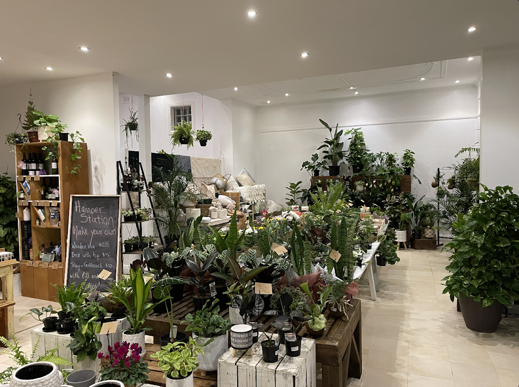 Gifts and Greens | 207 Lyons Rd, Russell Lea NSW 2046, Australia | Phone: (02) 9000 4200