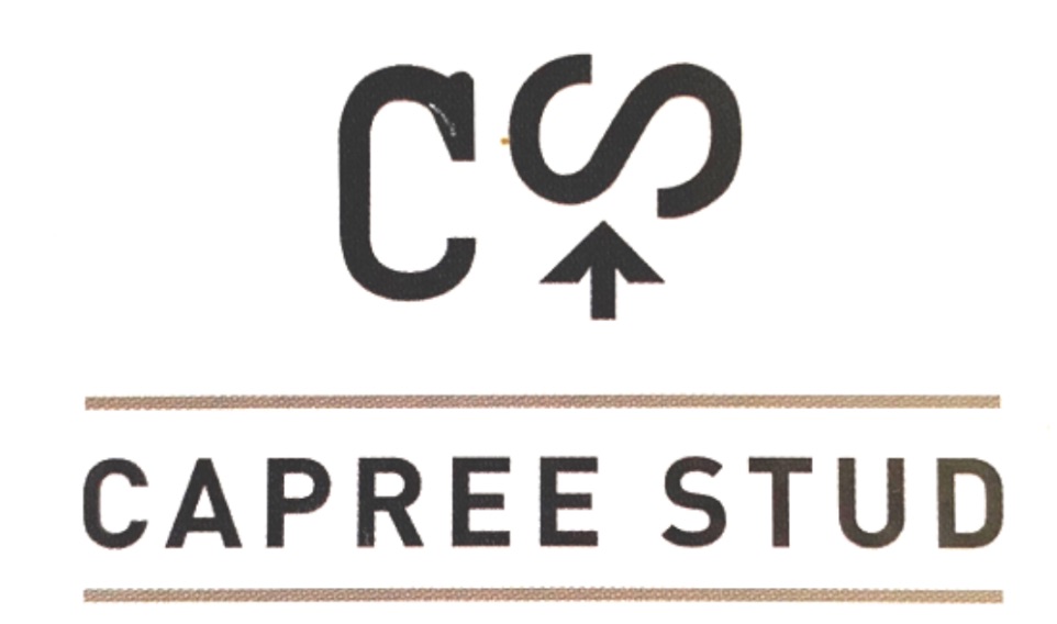 Capree Stud | 577 Caloola Rd, Newbridge NSW 2795, Australia | Phone: 0429 797 633