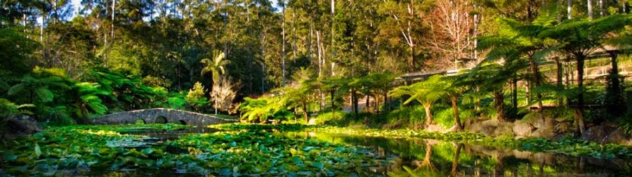 Scenic Rim | 2/1-3 Main St, Tamborine Mountain QLD 4272, Australia | Phone: (07) 5545 4782