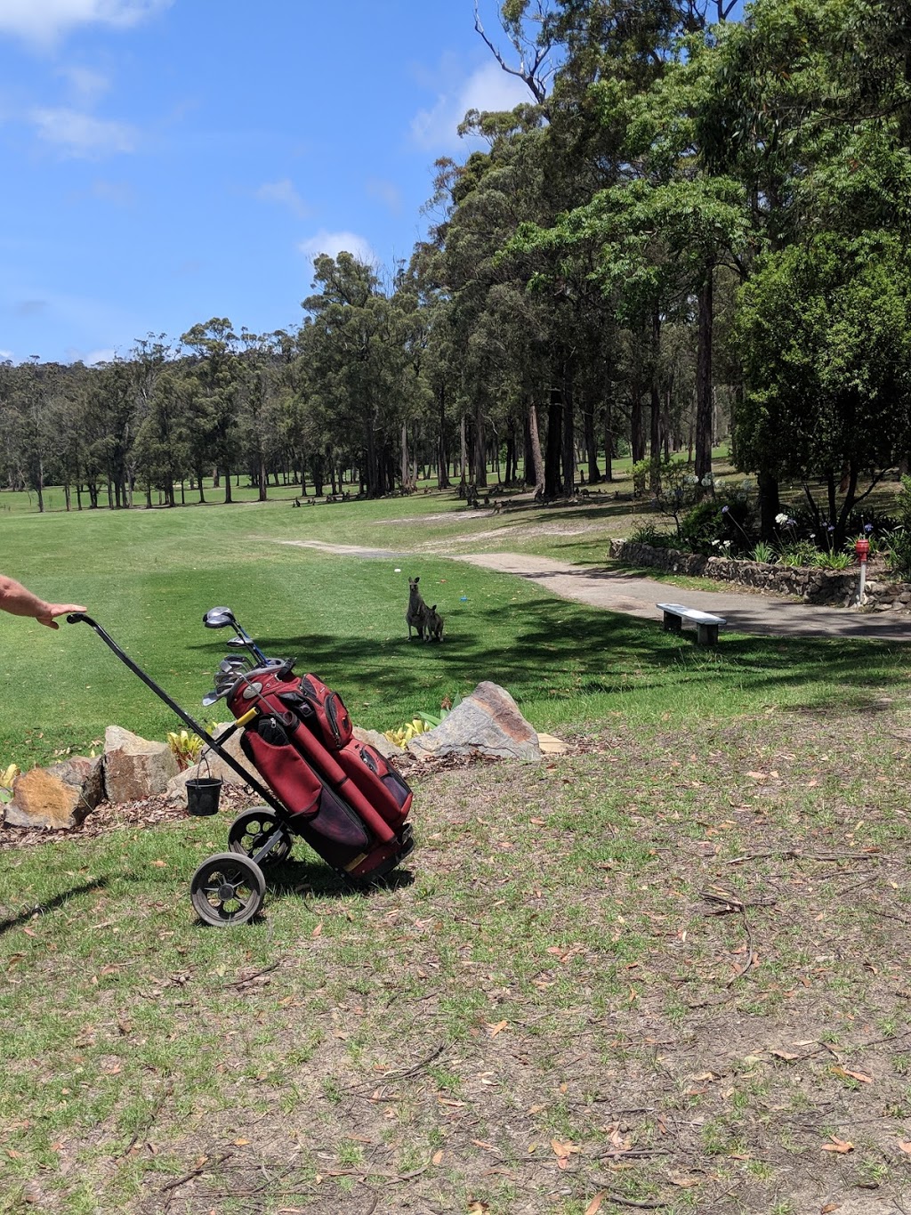 Eden Golf Course | 79 Princes Hwy, Eden NSW 2551, Australia | Phone: (02) 6496 1126