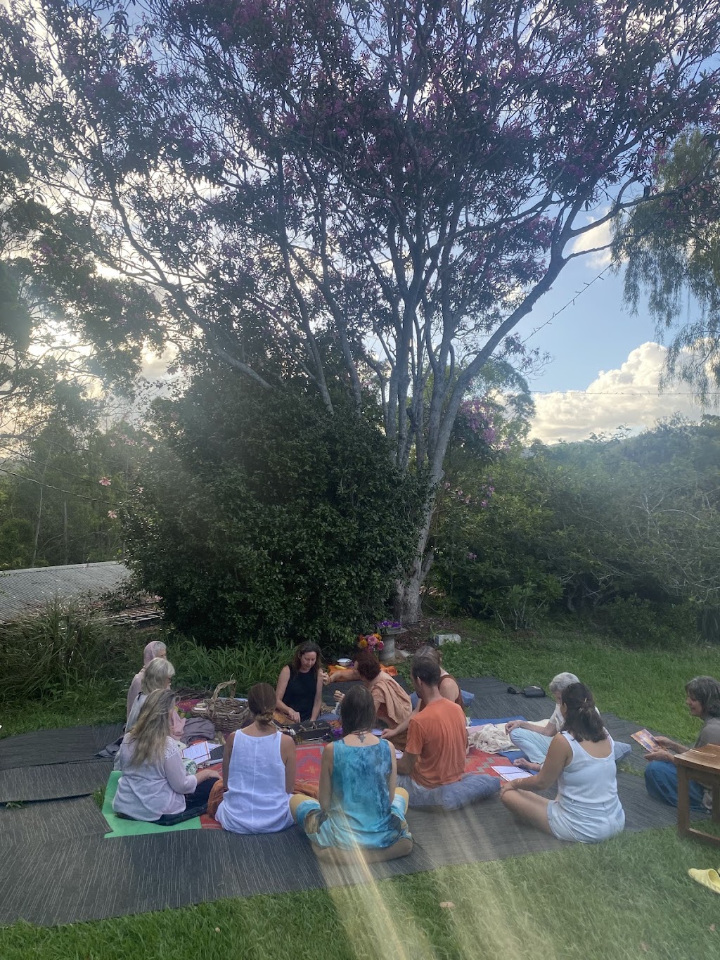 Maha Farm | 14 Morningside Dr, Valla NSW 2448, Australia | Phone: 0400 326 339