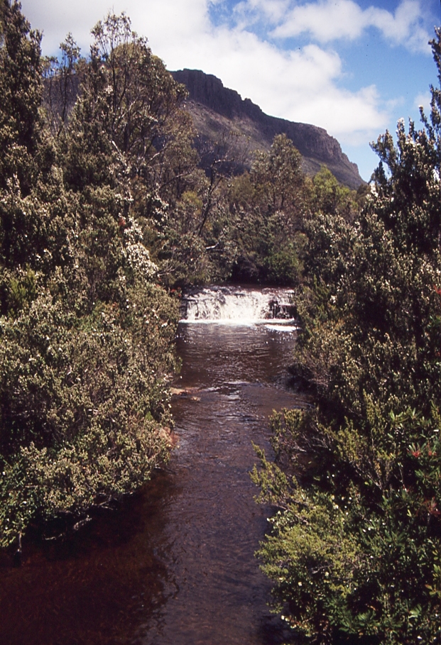 Mount Massif |  | Cradle Mountain-Lake St Clair National Park, Lake St Clair TAS 7140, Australia | 0361654444 OR +61 3 6165 4444