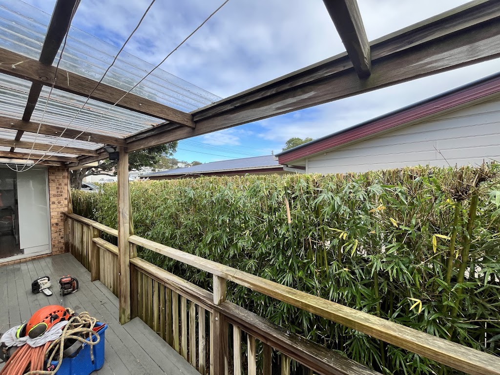 Coastal Trees | 94 Aloha Dr, Chittaway Bay NSW 2261, Australia | Phone: 0402 661 491