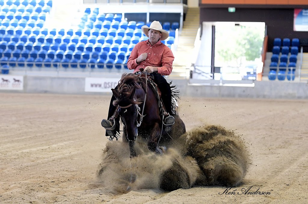 HPH Horses | 46 Mulara Rd, Bondoola QLD 4703, Australia | Phone: 0423 827 089