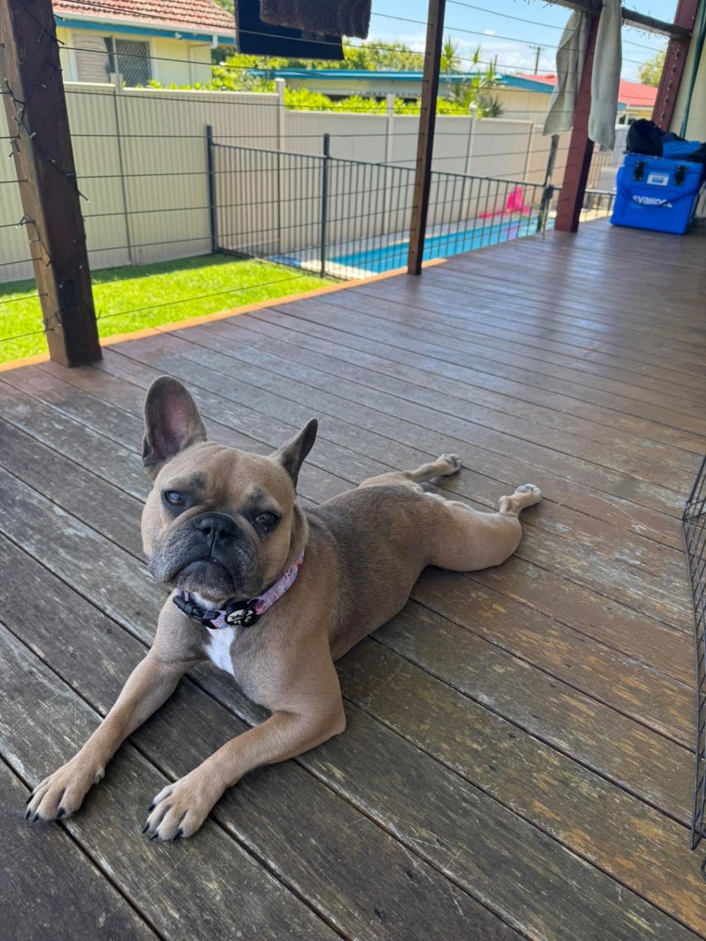 SIT N PLAY | 31 Whytecliffe Parade, Woody Point QLD 4019, Australia | Phone: 0418 206 211