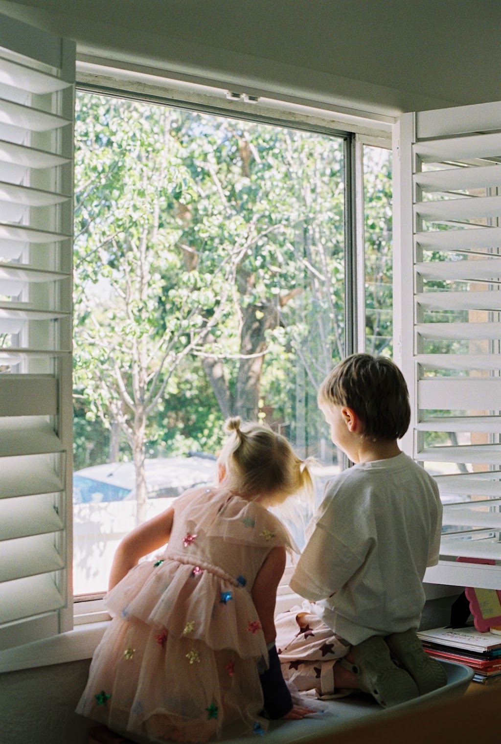 The Moments Between - 35mm film photography | 936 Allambee-Childers Rd, Childers VIC 3824, Australia | Phone: 0403 643 013