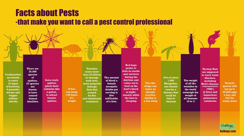 Your Local Termite and Pest Control | 1 Main St, Beenleigh QLD 4207, Australia | Phone: 1800 556 225